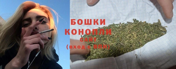 шишки Белоозёрский