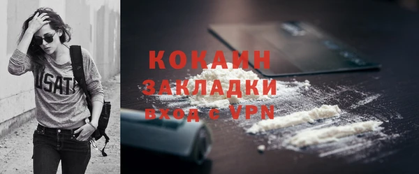 шишки Белоозёрский