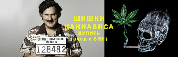 шишки Белоозёрский
