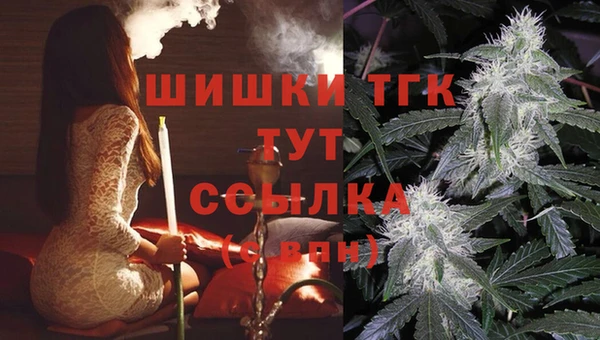 скорость Богданович