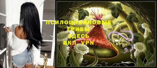 скорость Богданович