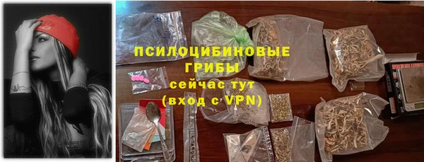мдма Богородицк