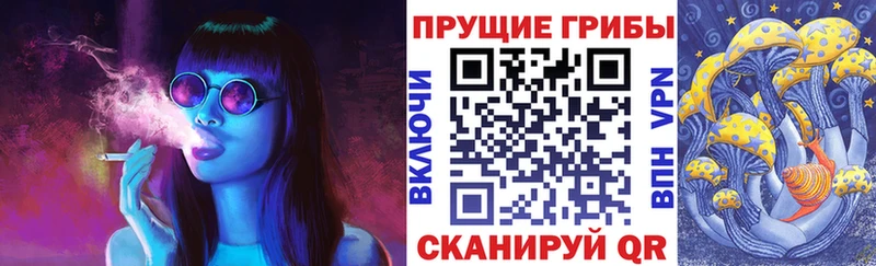 Купить где Калязин Псилоцибиновые грибы Psilocybe